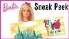 Barbie Surprise Boîte De Mattel Et Toy Fair Horaire Pour Mommyandgracieshow